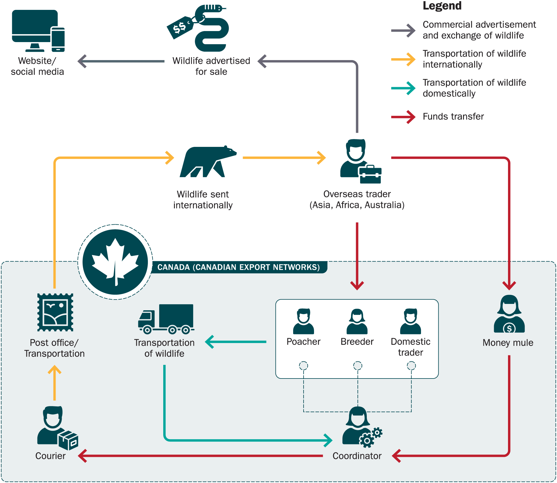 Network of individuals and their physical, coordinating and/or financial role in the illegal export of wildlife.